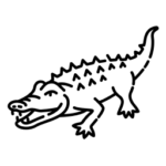 Crocodile Safari in Guhagar