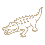 Crocodile safari in guhagar