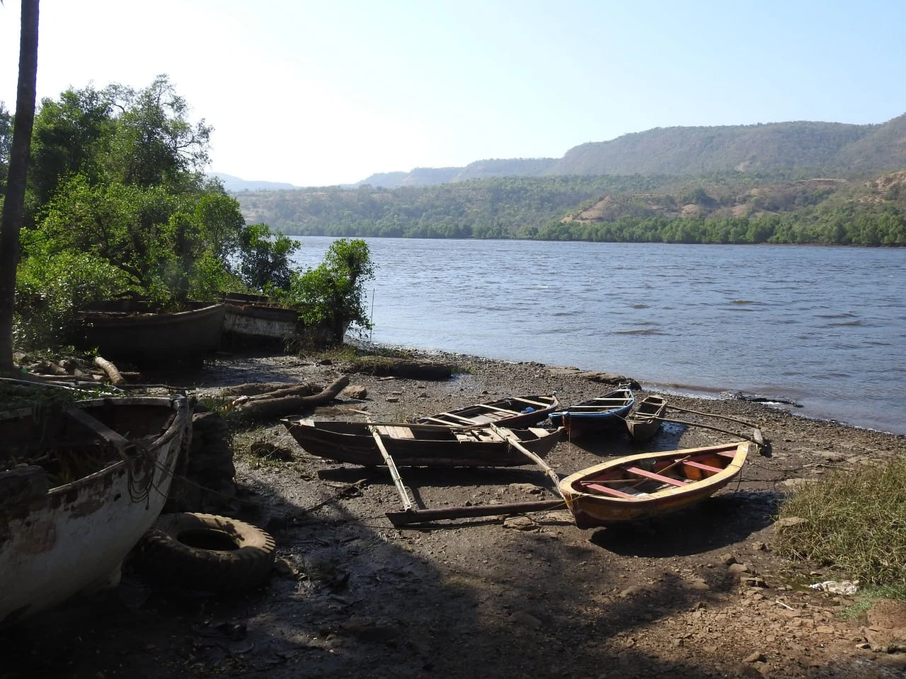 Crocodile Safari in Guhagar, Ratnagiri – Thrilling Wildlife Experience in Konkan