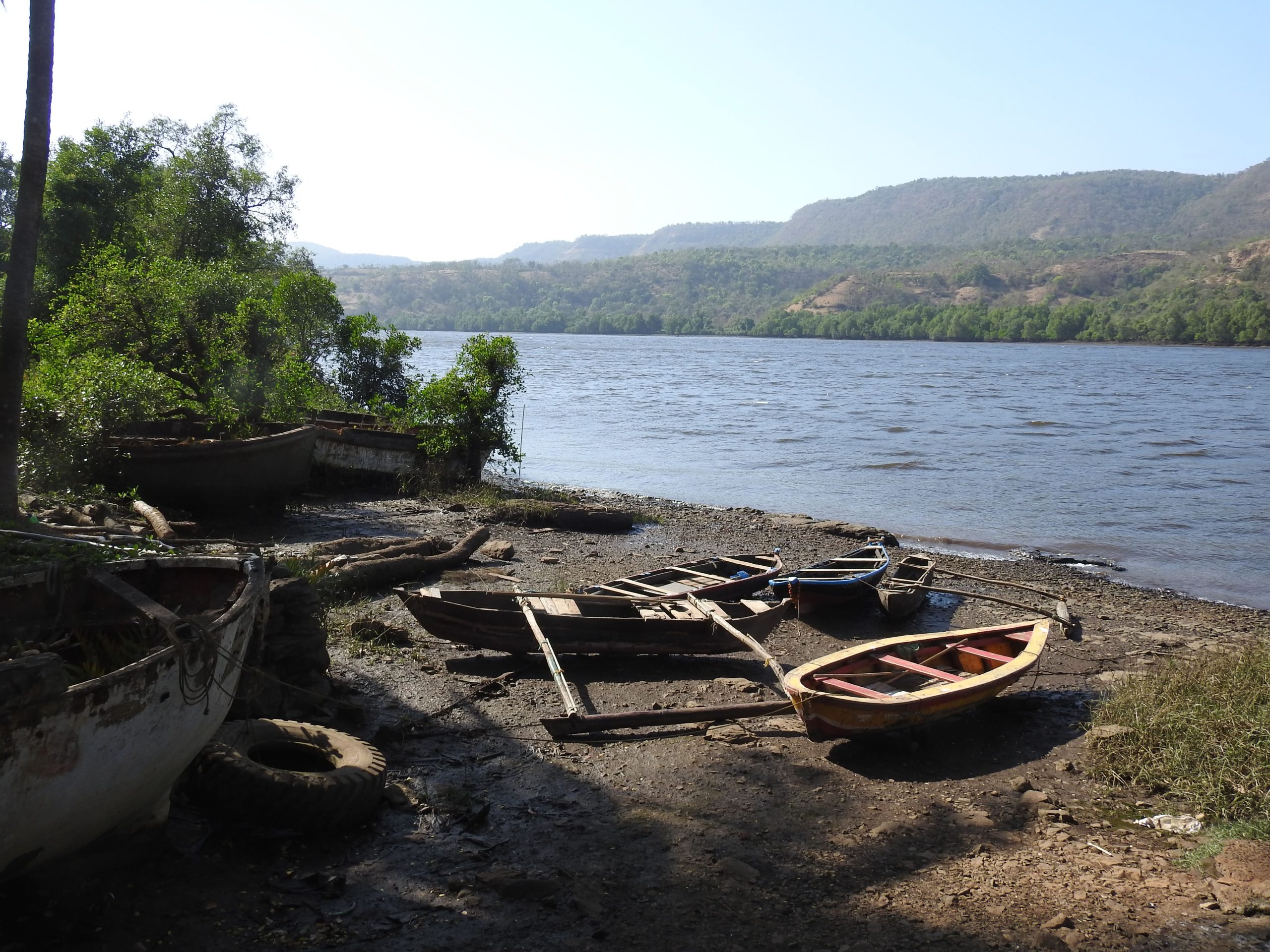 Crocodile Safari in Guhagar, Ratnagiri – Thrilling Wildlife Experience in Konkan